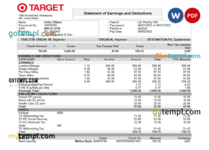 editable template, USA Target retail company pay stub Word and PDF template