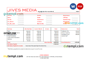 editable template, USA Jives Media advertising company pay stub Word and PDF template
