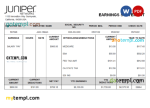 editable template, USA Juniper networking company pay stub Word and PDF template