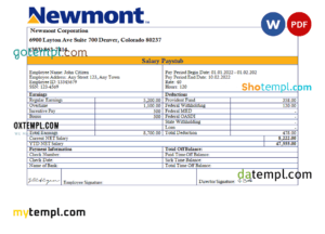 editable template, USA Newmont Corporation mining company pay stub Word and PDF template
