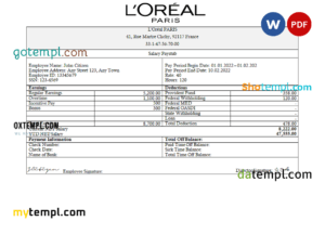 editable template, France Loreal Paris cosmetic distributing company pay stub Word and PDF template