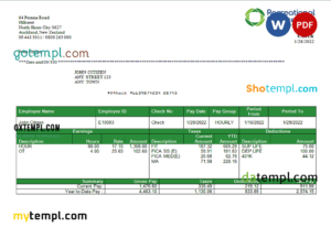 editable template, USA Recreational Services entertainment company pay stub Word and PDF template