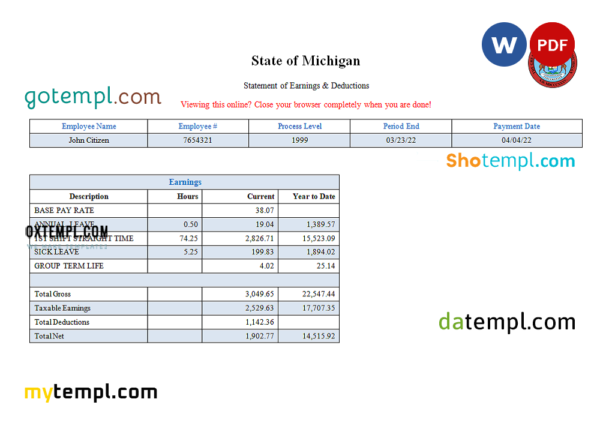 editable template, USA State of Michigan social services company pay stub Word and PDF template