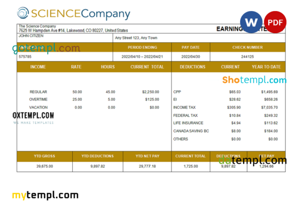 editable template, USA The Science Company science company pay stub Word and PDF template