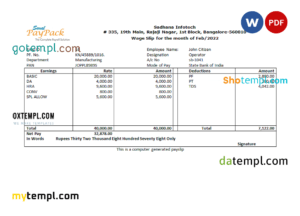 editable template, India Sadhana infotech pharmaceutical company pay stub Word and PDF template