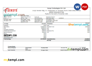 editable template, India Sensys technologies Pvt IT technologies pay stub Word and PDF template