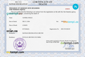 editable template, Brunei vital record death certificate PSD template, fully editable