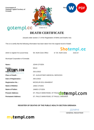 editable template, Grenada vital record death certificate Word and PDF template