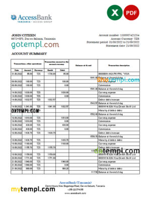 editable template, Tanzania Access bank statement, Excel and PDF template