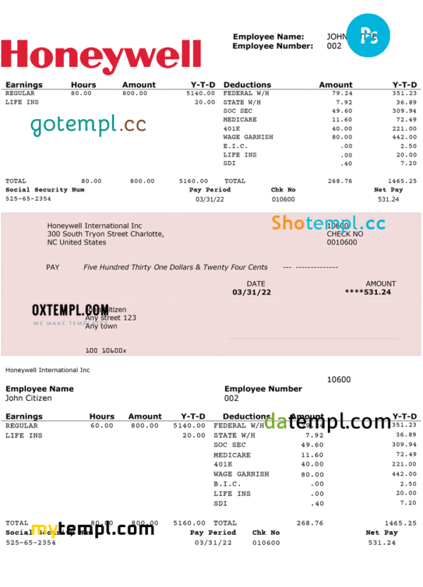 editable template, USA Honeywell conglomerate company pay stub PSD template