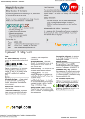 editable template, USA Minnesota Energy utility bill, Word and PDF template, 2 pages