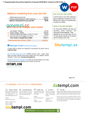 editable template, USA New York PSEG utility bill, Word and PDF template, 5 pages