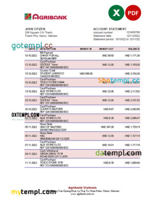 editable template, Vietnam Agribank bank statement, Excel and PDF template