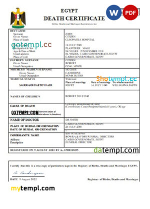 editable template, Egypt vital record death certificate Word and PDF template