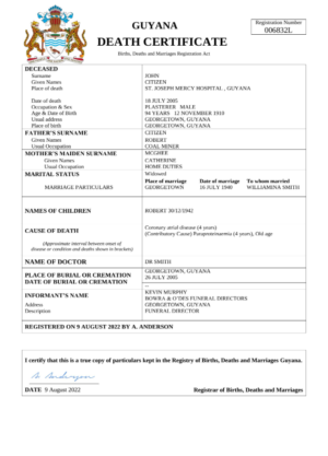 editable template, Guyana death certificate Word and PDF template, completely editable