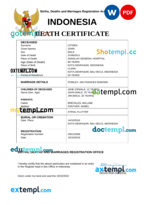 editable template, Indonesia vital record death certificate Word and PDF template