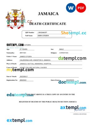 editable template, Jamaica vital record death certificate Word and PDF template