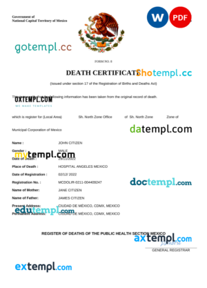 editable template, Mexico vital record death certificate Word and PDF template