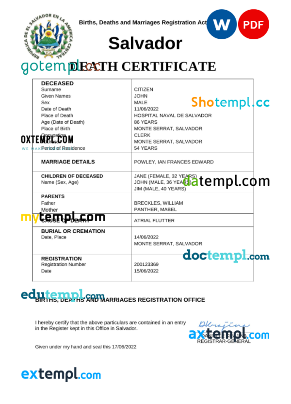 editable template, Salvador vital record death certificate Word and PDF template