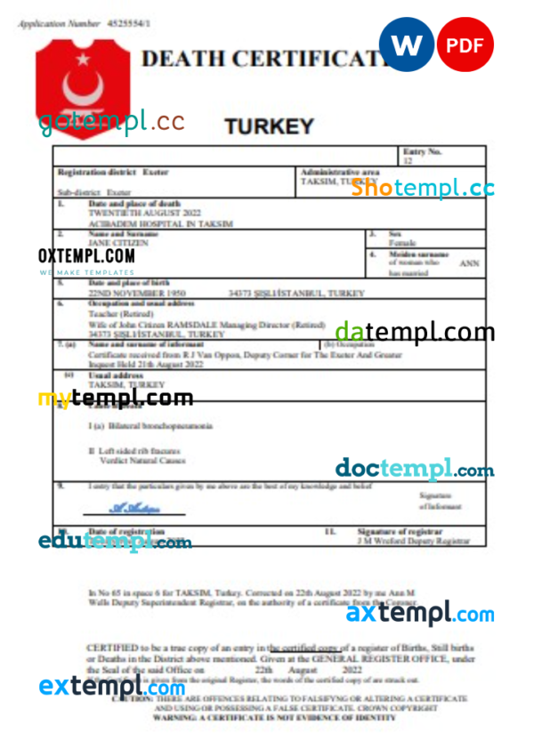 editable template, Turkey vital record death certificate Word and PDF template