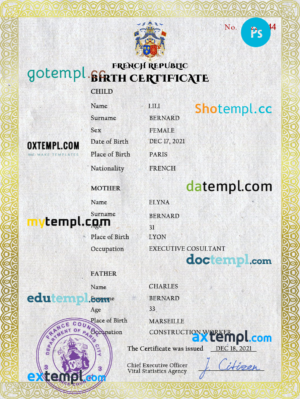 editable template, France vital record birth certificate PSD template, completely editable
