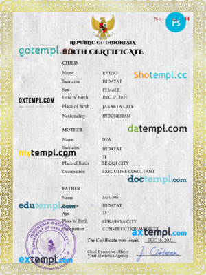 editable template, Indonesia vital record birth certificate PSD template, completely editable