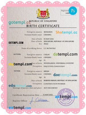 editable template, Singapore vital record birth certificate PSD template