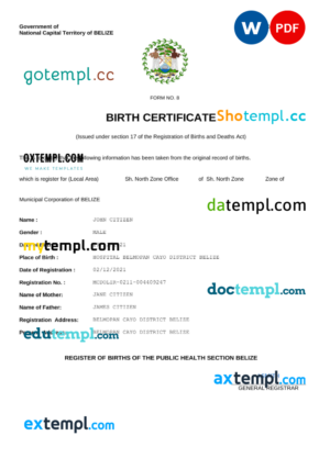 editable template, Belize vital record birth certificate Word and PDF template, fully editable