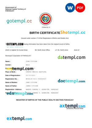editable template, Paraguay birth certificate Word and PDF template, completely editable