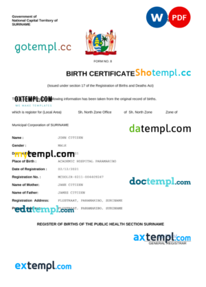 editable template, Suriname vital record birth certificate Word and PDF template, completely editable