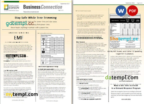editable template, USA Southern California EDISON utility bill, Word and PDF template, 8 pages