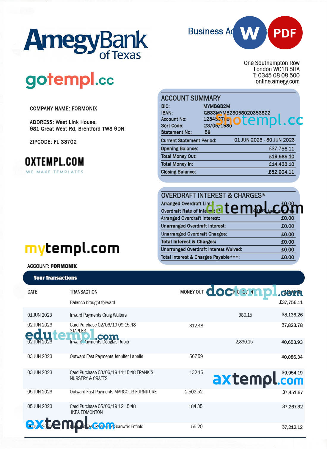 editable template, Amegy Corporation Bank organization account statement Word and PDF template