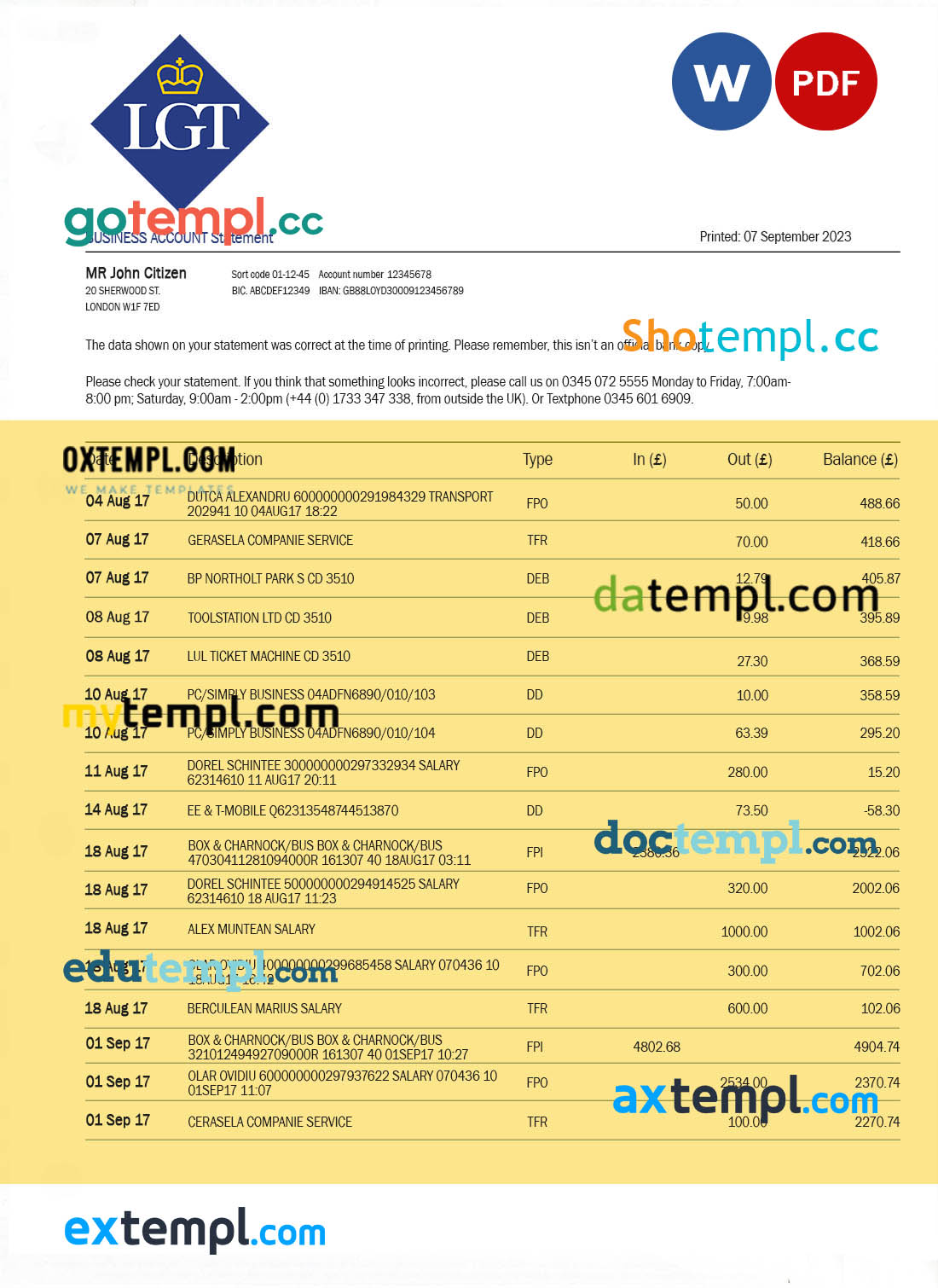 editable template, LGT Bank organization checking account statement Word and PDF template