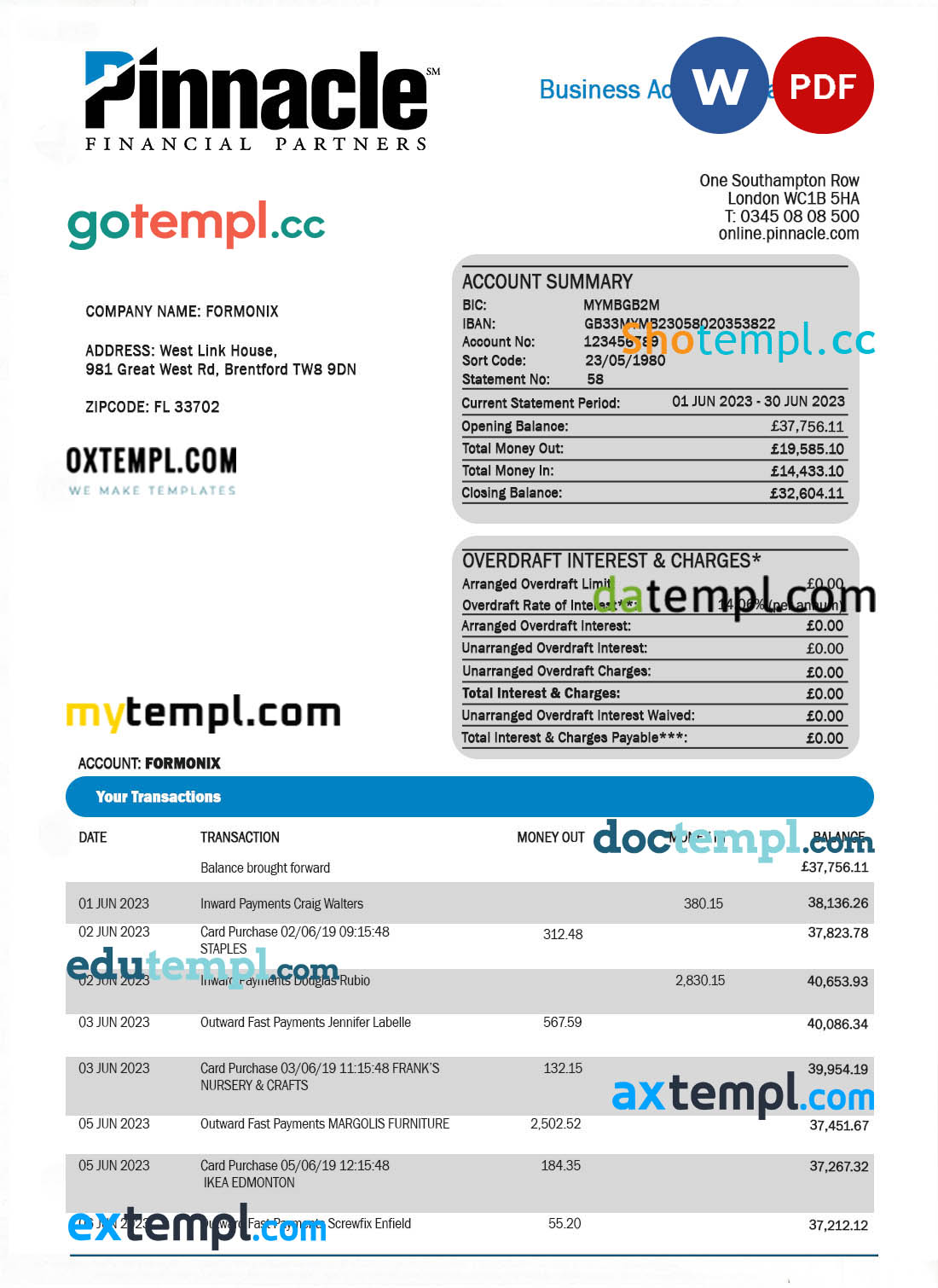 editable template, PINNACLE Financial Bank firm account statement Word and PDF template