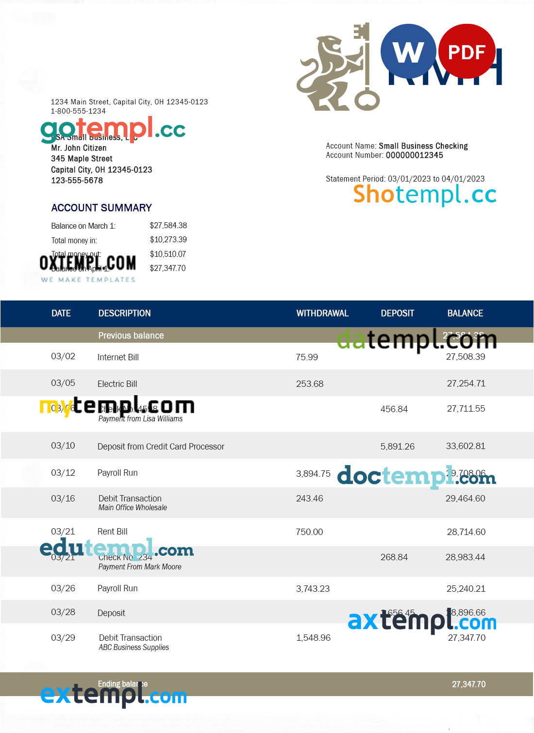 editable template, Rand Merchant Bank enterprise account statement Word and PDF template