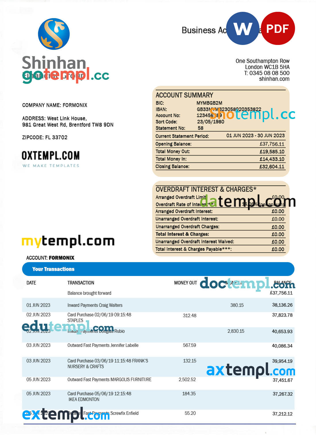 editable template, SHINHAN Financial Group enterprise statement Word and PDF template